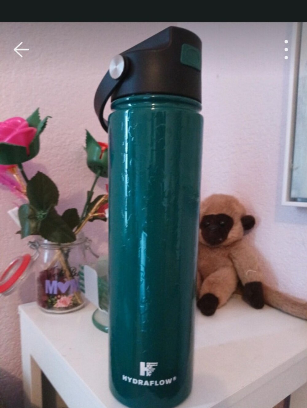 Hydraflow Teal Stainless Steel Water Bottle with Carry Lid